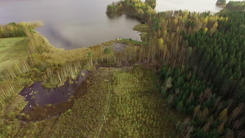 Newly constructed wetland for water treatment at lake Puruvesi, Finland. Aerial shot.