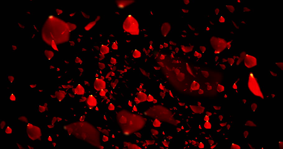 Red Colorful Petals Rose Flying Stock Footage Video (100% Royalty-free ...