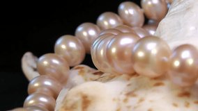 Cultured rotary fresh water pearl necklaces with pink-orange tone on the shell, studio, macro, PART2