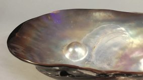 Mabe pearl inside the shell, part 1