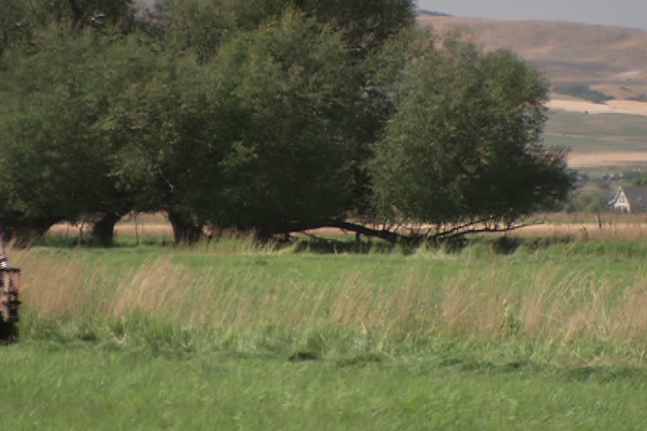 A tractor harvesting crops.