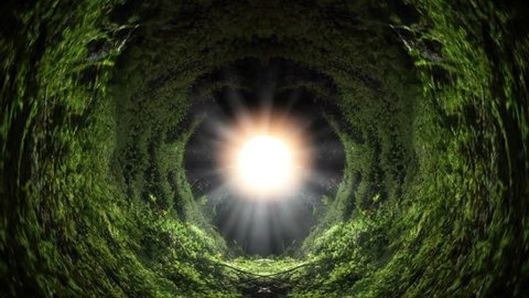 Endless infinite green garden solar beam tunnel abstract art
