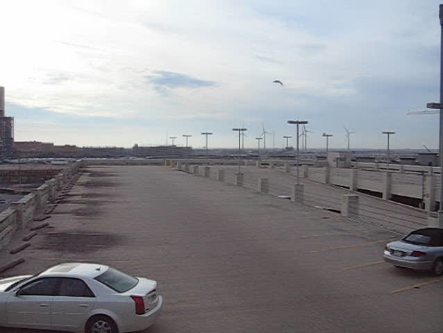 cars parked in lot
