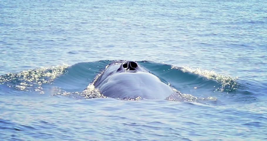 Importance Of Breathing Time