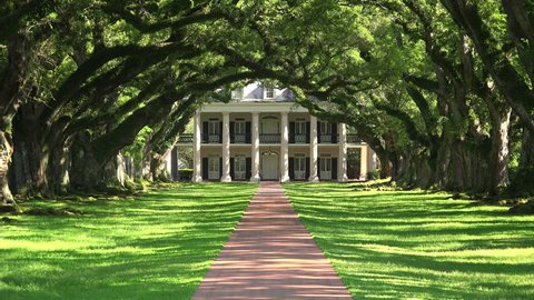 Tree lined entrance to Oak Alley southern plantation house in Vacherie, Louisiana