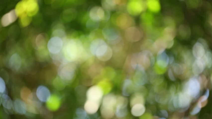 Featured image of post Dslr Blur Background Nature - Best blur wallpaper, desktop background for any computer, laptop, tablet and phone.