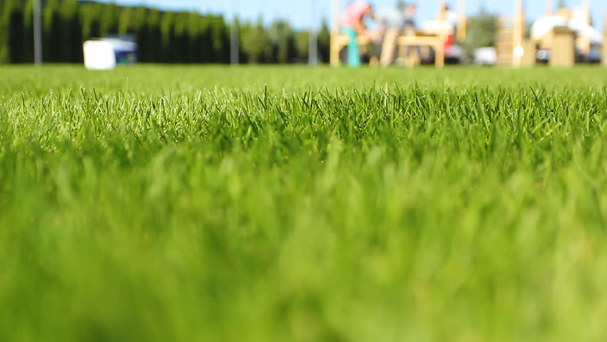 Shutterstock video thumbnail