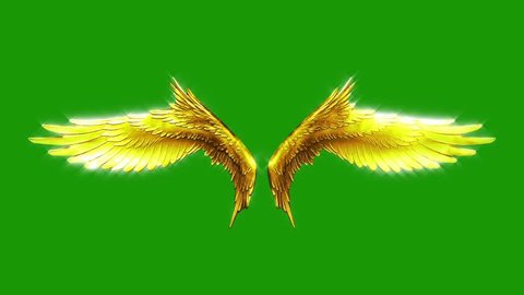 Flapping Gold Wings Particles Loop Green Screen