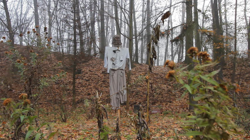 Scarecrow made from clothes on the abandoned old farm in the woods. Gray spooky autumn forest landscape with a scarecrow.