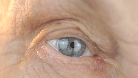 Blue eye of a middle-aged woman. Close up