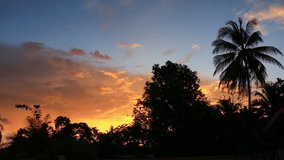 Tropical sunset sky with palm trees silhouette.