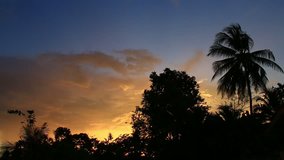 Tropical sunset sky with palm trees silhouette.