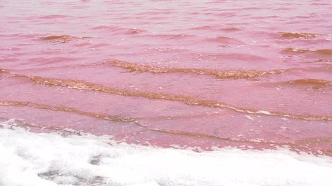 Water of pink lake Retba - Dakar region, Senegal, Africa