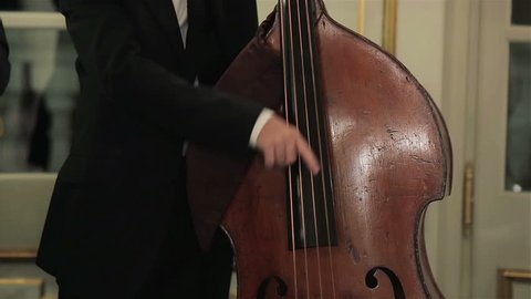 Playing double bass with hands plucking strings close up. Mn musician fingers performing pizzicato technique contrabass double bass cello rhythm at live jazz concert on stage. Acoustic bass instrument