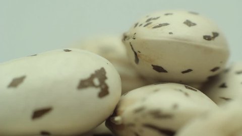  Bean Seeds White Full HD