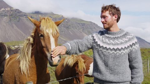 Iceland horse - man petting Icelandic horses happy in nature. Man in Icelandic sweater going horseback riding smiling happy with horse in beautiful nature on Iceland. Handsome Scandinavian model.