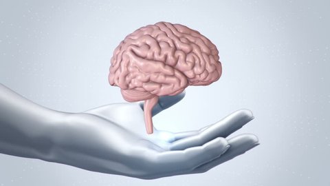 Abstract background with animation of rotation Brain in abstract hands of human. Animation of seamless loop.