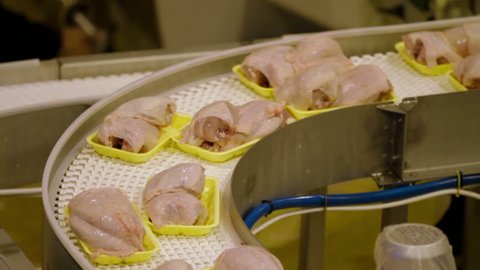 Poultry meat during production process