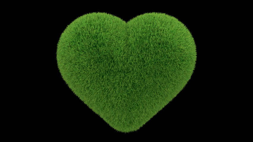 Heart made of grass looping with matte
