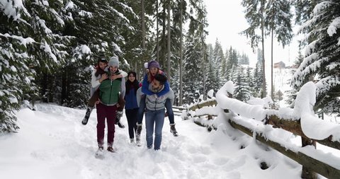 Group Of People Winter Snow Forest Walking Smiling Friends Talking Path In Snowy Park Slow Motion 60 : vidéo de stock