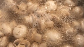 Tasty common champignon mushroom cooking food 4K 2160p 30fps UltraHD footage - Close-up of Agaricus bisporus basidiomycete mushroom in boiling water 3840X2160 UHD video