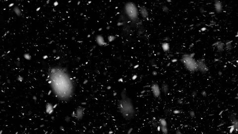 Falling down real snowflakes, heavy snow, snowstorm weather, shot on black background, matte, wide angle, seamlessly looped animation, isolated, perfect for digital composition, post-production.