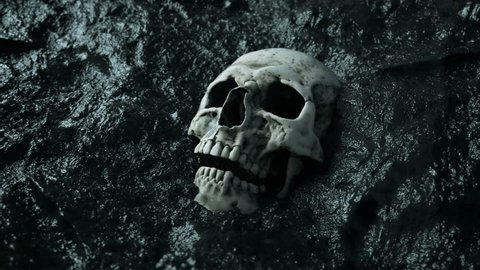 ancient human skull. Apocalypse concept. Super realistic 4k animation. 스톡 비디오