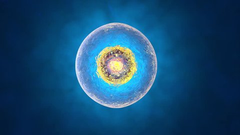 3D rendered Animation of the Mitosis and Division of a generic biological Cell.

