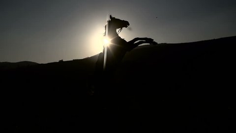 Silhouette of a rider with a horse rearing up on its hind legs, slow motion at 200 fps