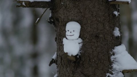Close up view of a funny snowman on a tree, 4k footage