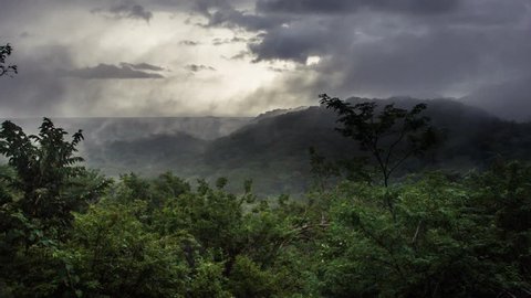 Wide shot on tropic rainforest jungle, mist, fog, rain, clouds move in timelapse footage. Green landscape.