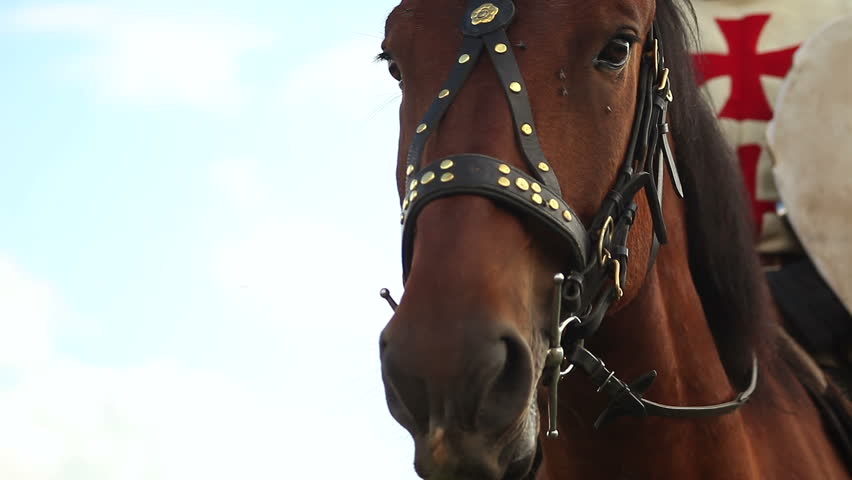 Medieval knights on horseback.