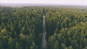 Aerial View. Flying over the beautiful forest trees. Aerial camera shot. Forest air. the car goes through the woods. The car in the forest. 