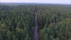 Forest air. Aerial View. Flying over the beautiful forest trees. Aerial camera shot. Landscape panorama.The car goes through the woods. 