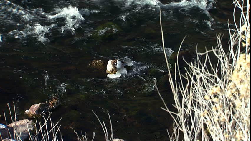 Green River Ice and Rocks
