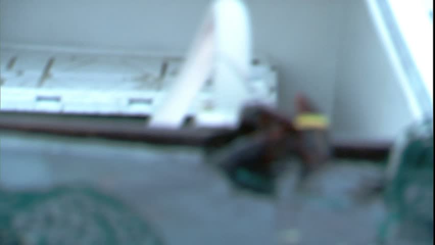 Lobster escaping a holding tank on a boa Booth Bay, ME