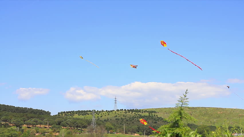 Colorful kites and green landscape
