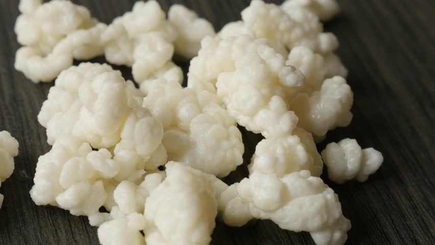 lactobacillus overgrowth lactobacillus overgrowth