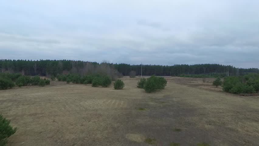 Flight Over Meadow 5