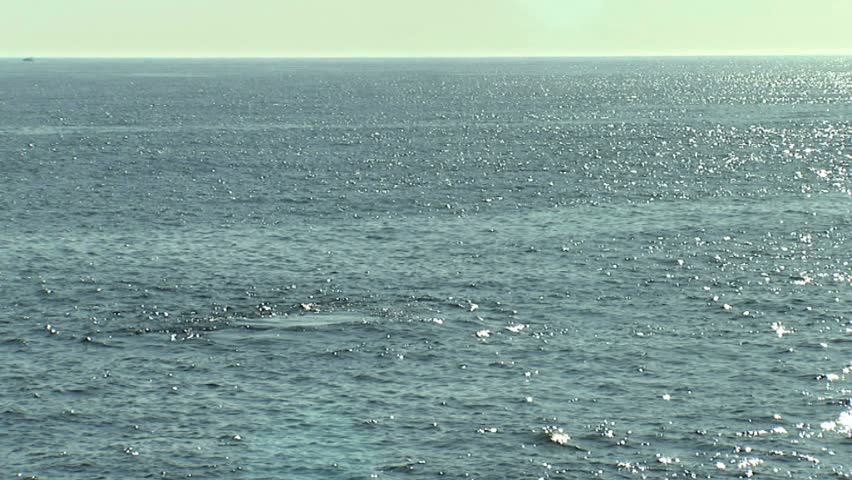 Humpback whale surfaces, spouts and tail dive beautiful back light on spout, then makes deep dive with modeled tail salute