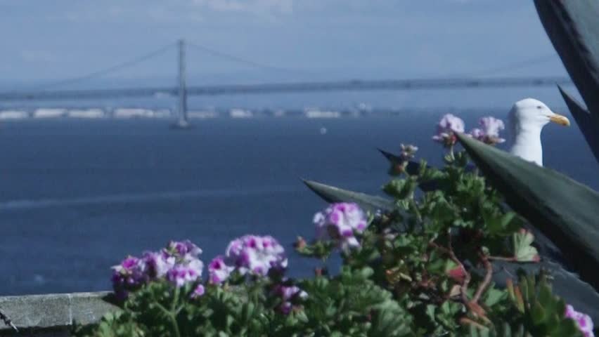 Standing on Alcatraz Island looking at San Francisco landscape