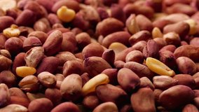Spinning pile of roasted peanuts in dark red skins. (av29503c)
