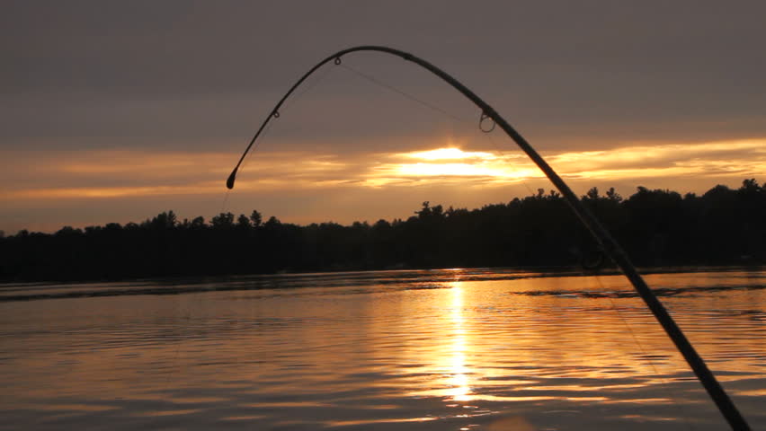 Bent Fishing Rod at Sunset Stock Footage Video 100 