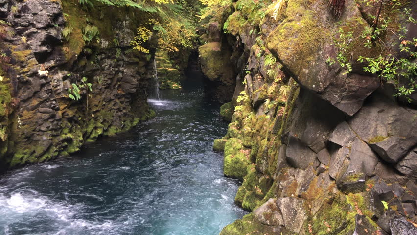 Above Toketee Falls Autumn in Oregon Douglas County