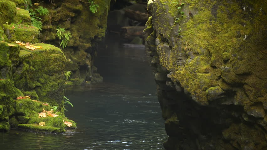 Above Toketee Falls Autumn in Oregon Douglas County