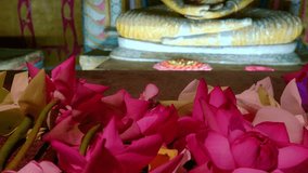 Pink lotus flowers offering to the statue of meditating Buddha in ancient Buddhist Temple. Sri Lanka. Panning video