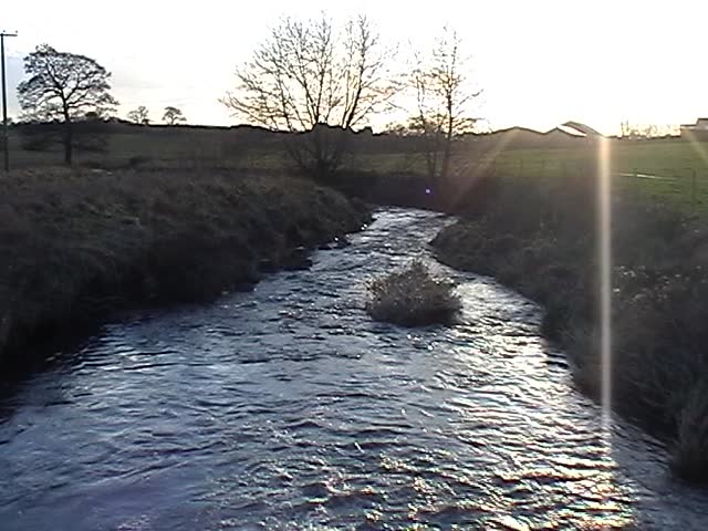 Stream in countryside