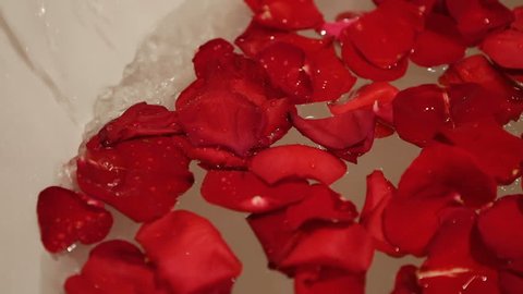Woman Hand Preparing a Home Bath with Petals Dropping Red Rose Petals to  Water, Lifestyle Stock Footage ft. petals & red - Envato Elements