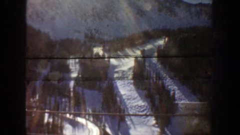 ASPEN COLORADO 1961: beautiful tall pine trees half covered in a bed of snow.