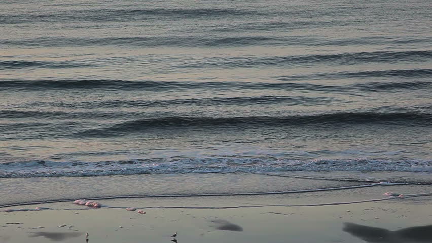 Distant view of ocean and waves washing up on shore with shore birds at water